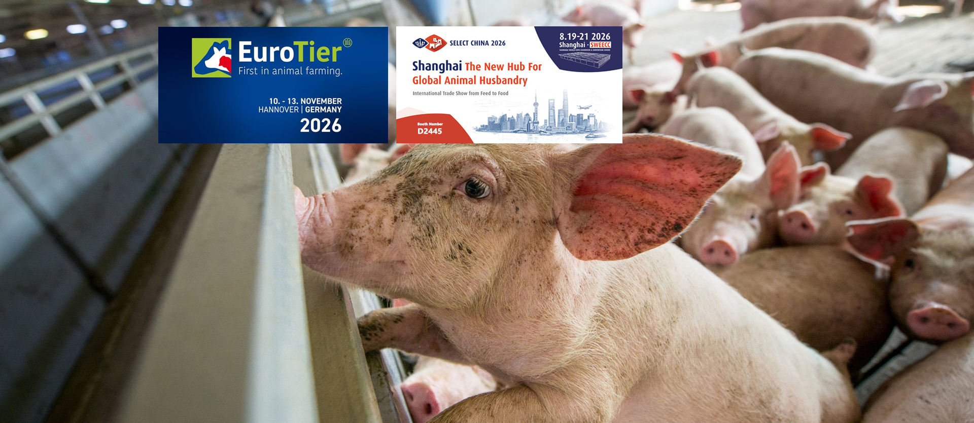 EuroTier 2026